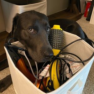 Meet your Posher, Logan